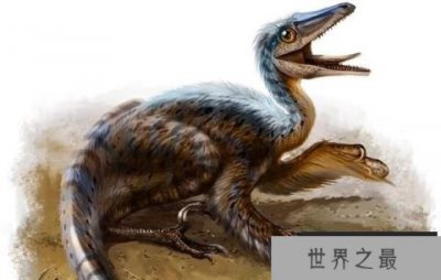 ​寐龙：小型食肉恐龙，化石在辽宁出土，体米1米