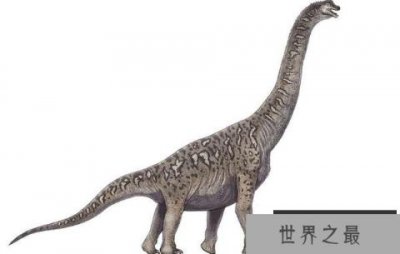 ​青秀龙(Qingxiusaurus)：体长15米的中国巨型食草恐龙