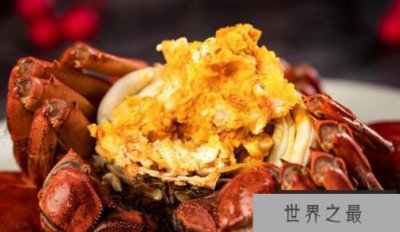 ​日本螃蟹五百万历史上最贵的螃蟹出价