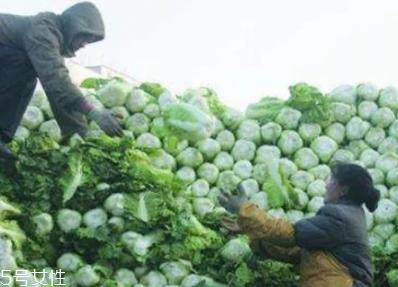 冬天囤菜应该怎么保存？冬天这样囤菜吃才更健康