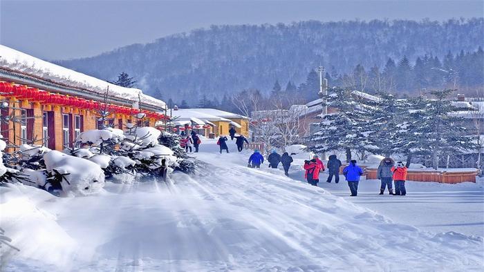 东北最美雪村，南方人最喜欢来的地方，冻梨要3块钱“一个”